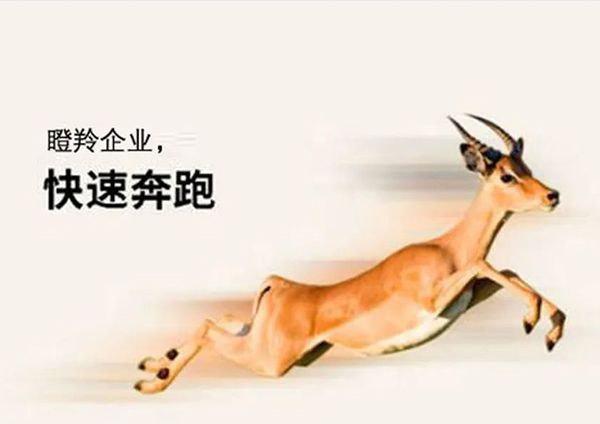 喜報(bào)！廣州研恒入選廣州市“瞪羚企業(yè)”